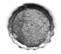 003psfswock