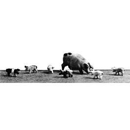 2026_05_28_758461