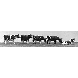 2026_05_28_758475