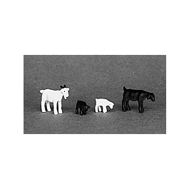 2026_05_28_758499