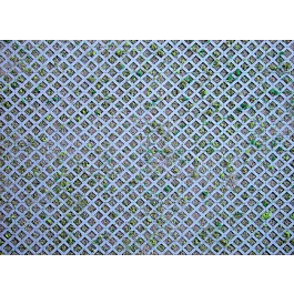 2026_05_28_767373
