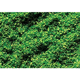 2026_05_28_767445