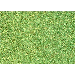 2026_05_28_767473