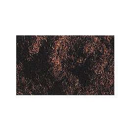 2026_05_28_770479
