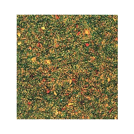 2026_05_28_770525