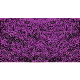2026_05_28_800957