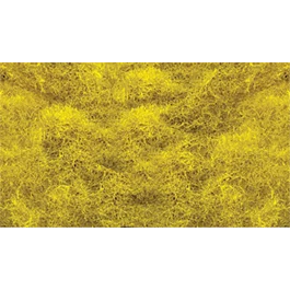 2026_05_28_800967
