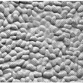 2026_05_28_801059