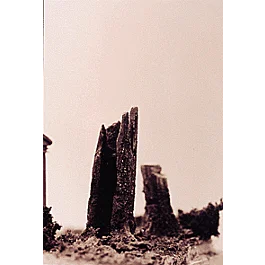 2026_05_28_810395