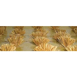 2026_05_28_815680