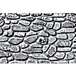 2026_05_28_815972
