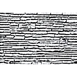2026_05_28_815976